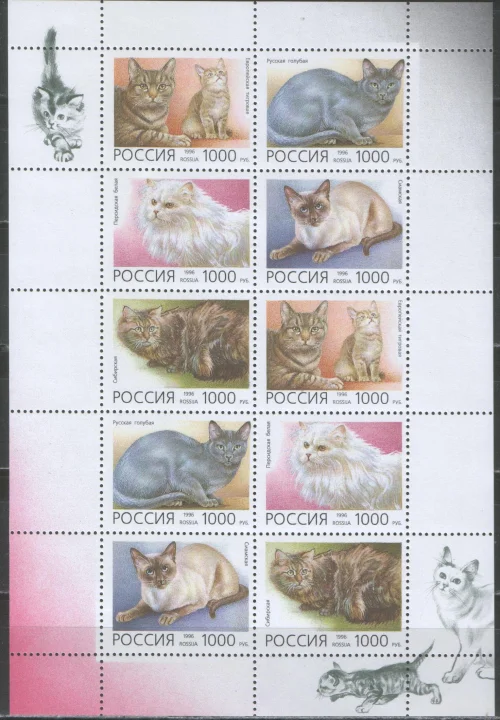 Россия - № 266 - 270. Фауна. Домашние кошки. Малый лист. 1996 г.