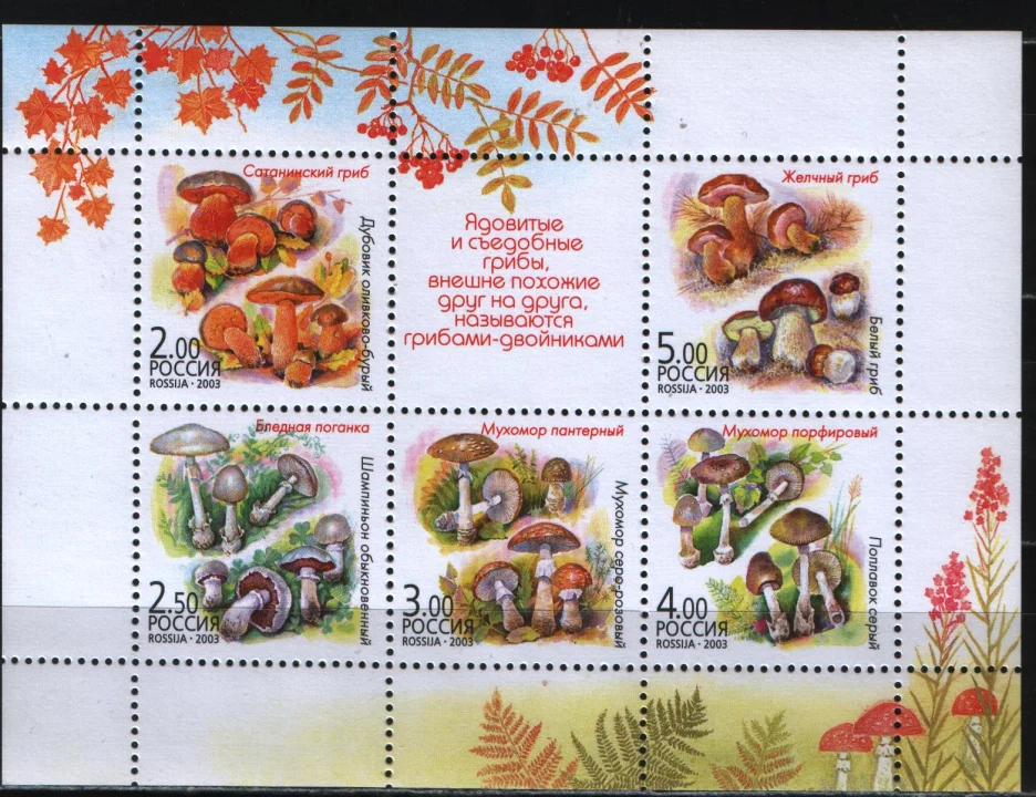 Россия - № 876 - 880. Флора. Грибы-двойники. Малый лист. 2003.