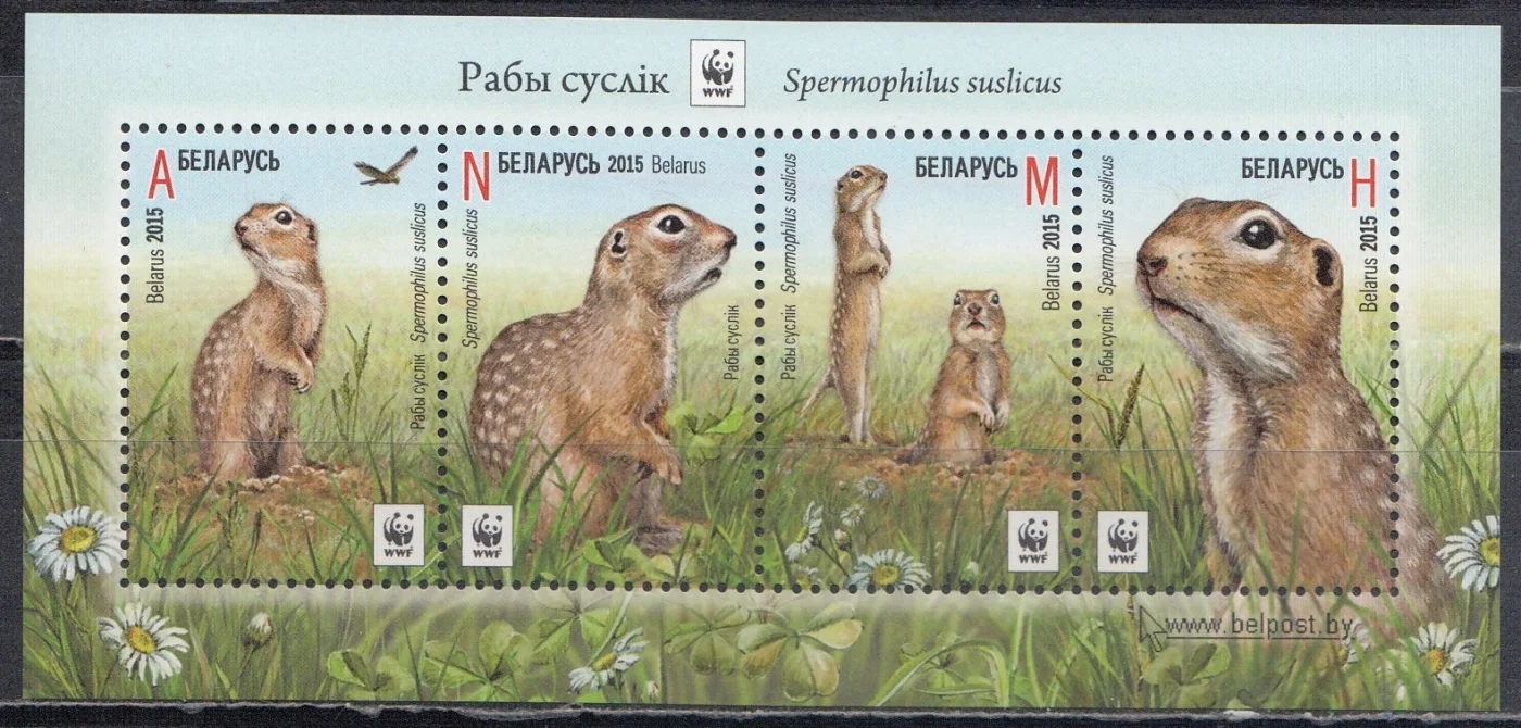 Беларусь - WWF Крапчатый суслик. Блок(2015).
