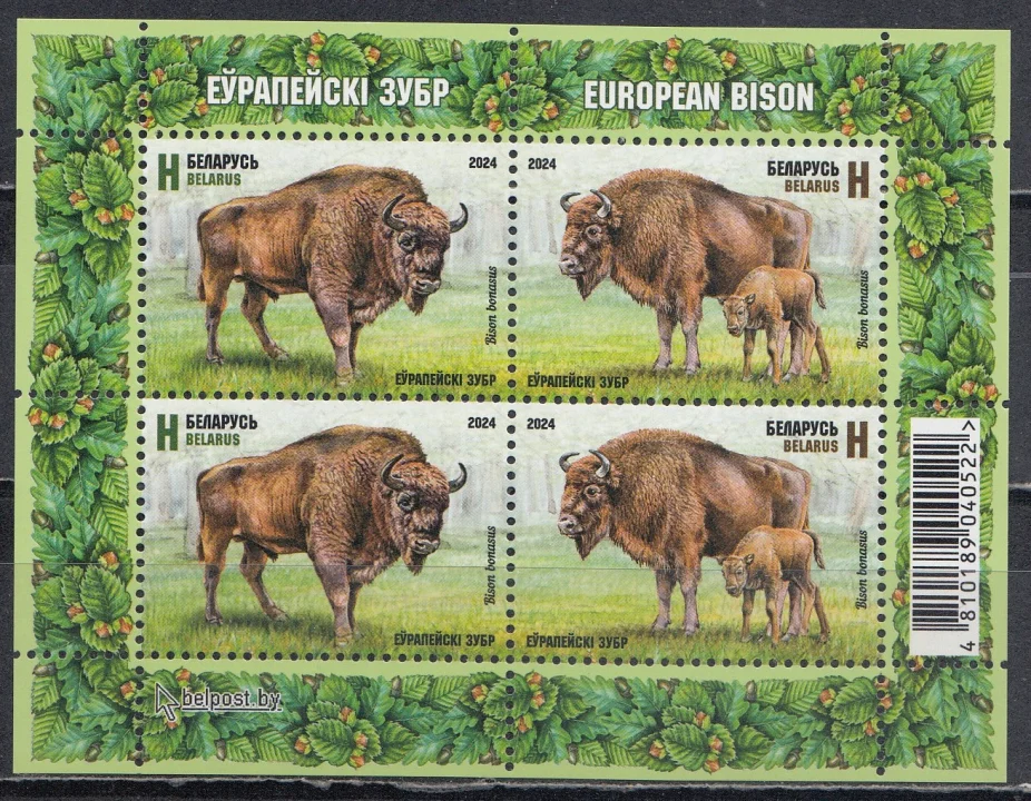 Беларусь - Европейский зубр. Блок(2024).