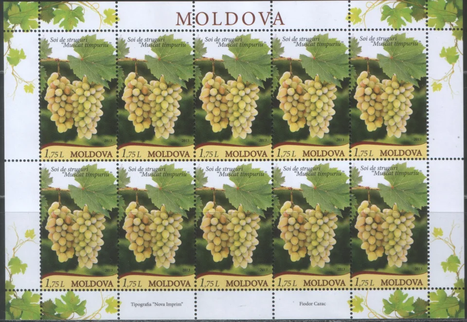 Молдова - Виноград(мл,2013).