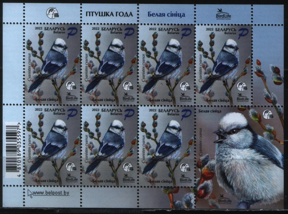 Беларусь - Птица года. Белая лазоревка. Малый лист(2022).