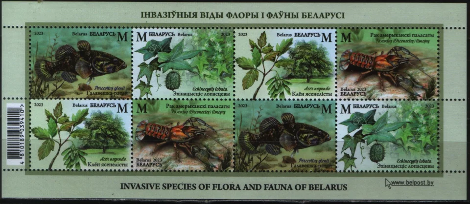 Беларусь - Инвазивные виды флоры и фауны. Блок(2023).