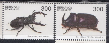 Беларусь - Жук олень и жук носорог(2001).