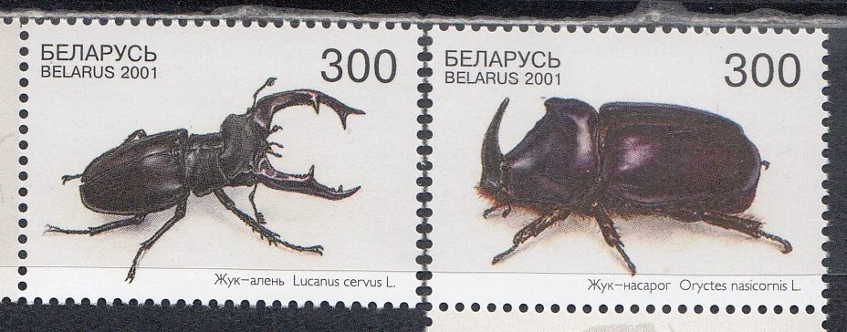 Беларусь - Жук олень и жук носорог(2001).