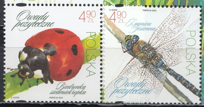 Польша - Божья коровка и стрекоза(2024).
