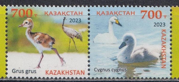Казахстан - Птенцы лебедь-кликун и серый журавль(2023).
