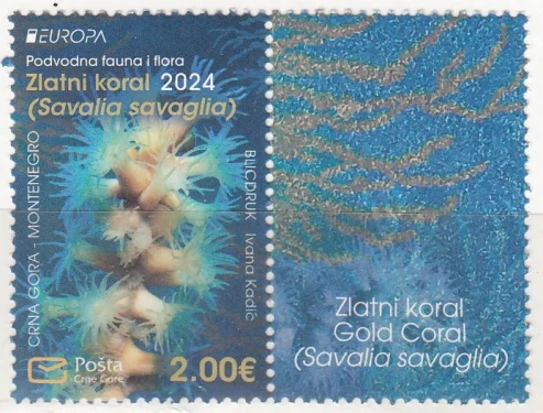 Черногория - Европа 2024. Купон.