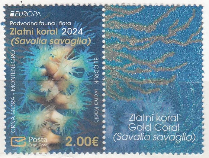Черногория - Европа 2024. Купон.