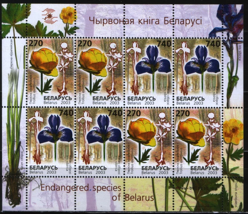 Беларусь - Цветы. Красная книга Беларуси. Малый лист(2003).