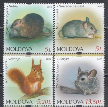 Молдова - Грызуны. Домовая мышь. Нутрия. Белка. Шиншилла(2025).