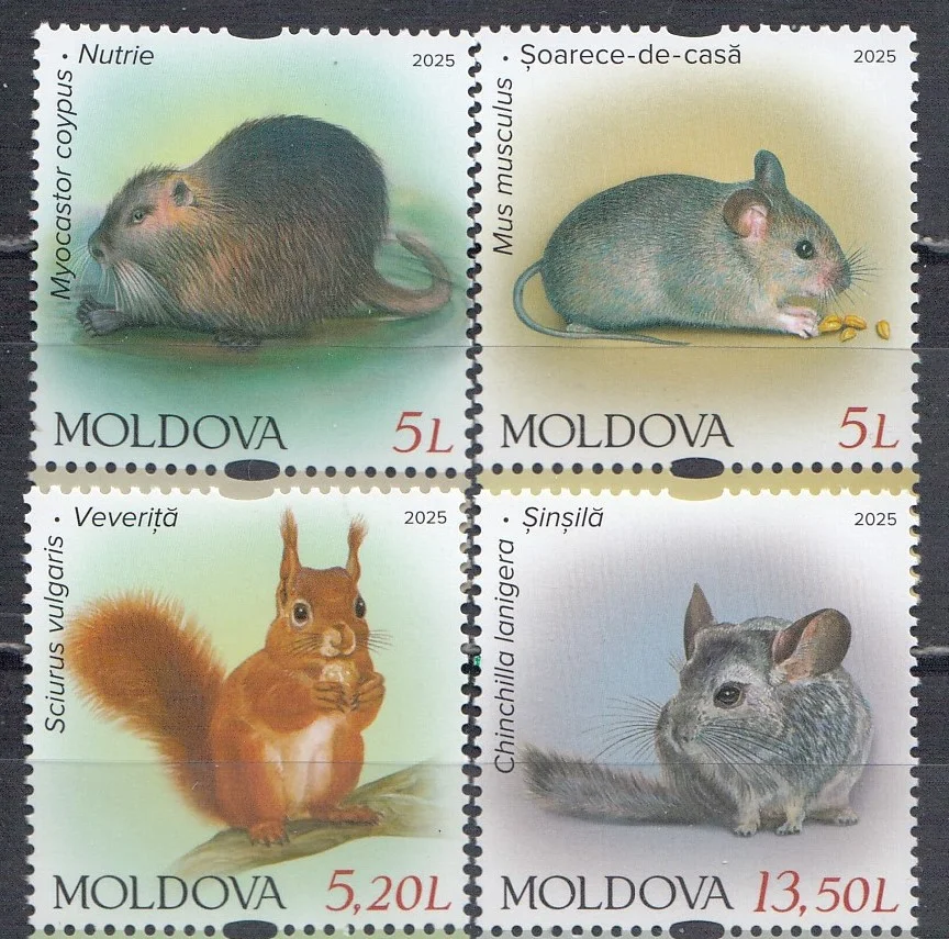 Молдова - Грызуны. Домовая мышь. Нутрия. Белка. Шиншилла(2025).