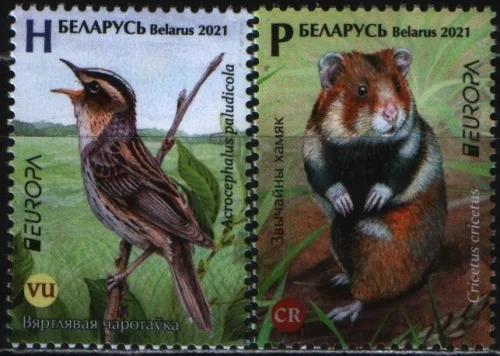 Беларусь - Европа 2021.