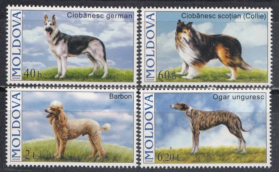 Молдова - Собаки(2006).
