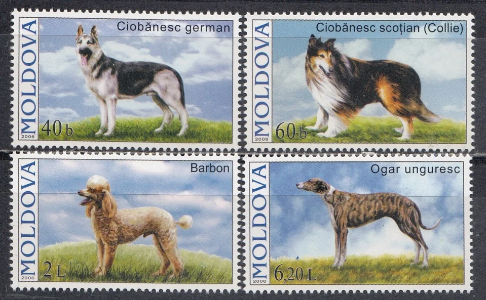 Молдова - Собаки(2006).