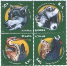 Румыния - Фауна(2011).