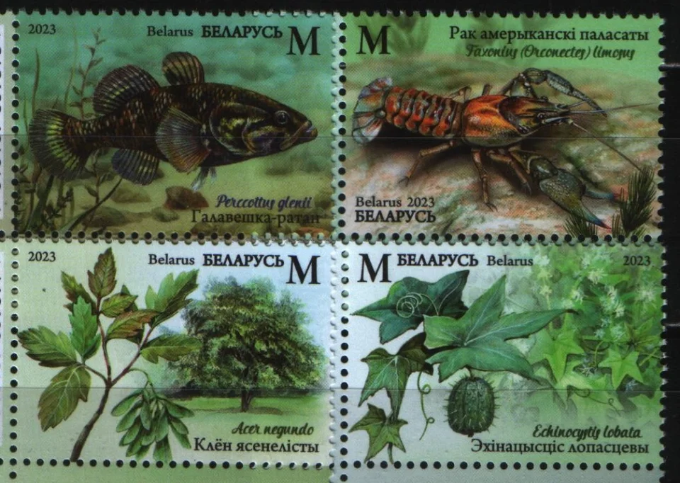 Беларусь - Инвазивные виды флоры и фауны. Марки(2023).