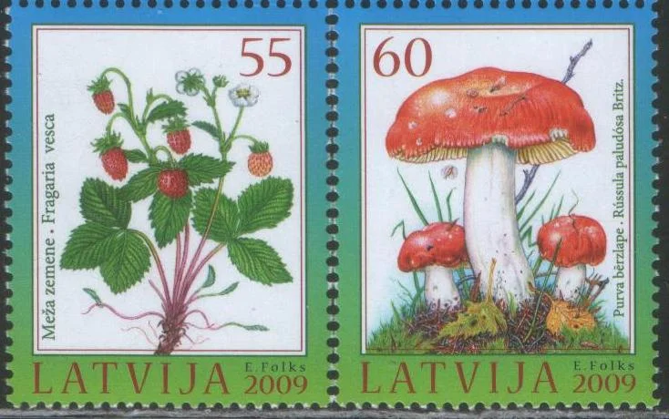 Латвия - Земляника и гриб(2009).