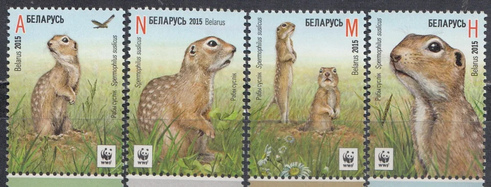 Беларусь - WWF Крапчатый суслик(2015).