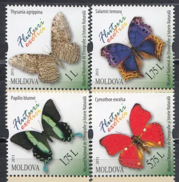 Молдова - Бабочки(2013).