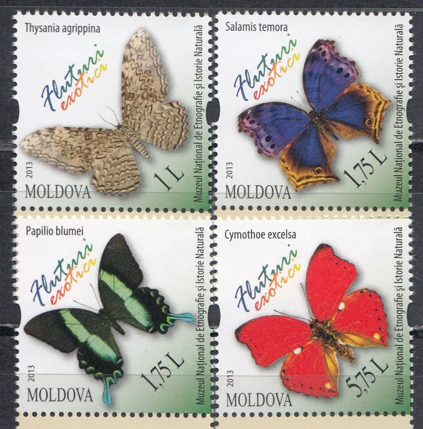 Молдова - Бабочки(2013).
