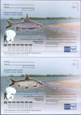 Россия - Рыбы озера Ханка. Приморский край. 4 ПК. 2018(3).