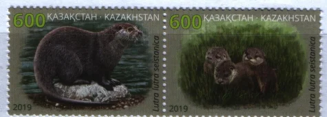 Казахстан - Выдра(2019).