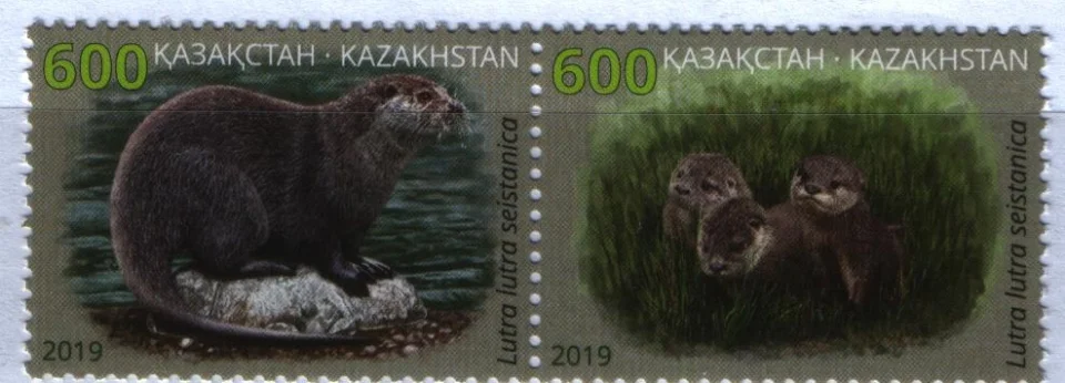 Казахстан - Выдра(2019).