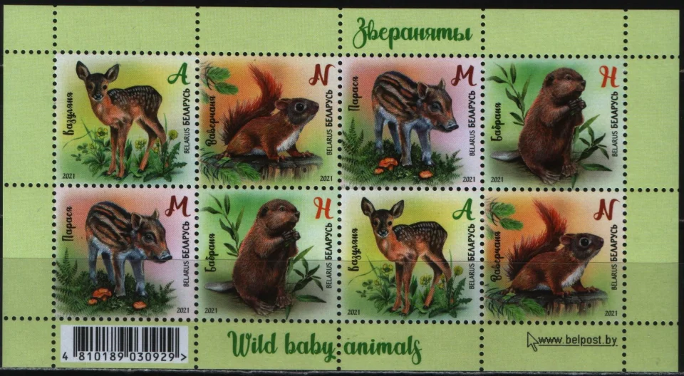 Беларусь - Зверята. Косулёнок, бельчонок, поросёнок и бобрёнок. Блок(2021).