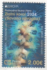 Черногория - Европа 2024.