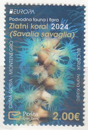 Черногория - Европа 2024.