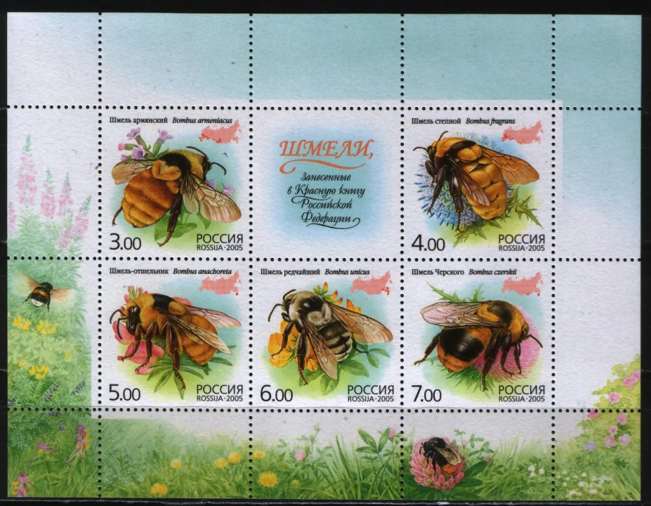 Россия - МЛ(1034-1058). Насекомые(шмели). 2005.