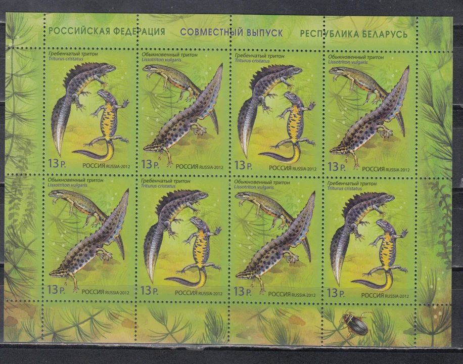 Россия - № 1599-1600. Фауна. Тритоны. Лист. 2012.