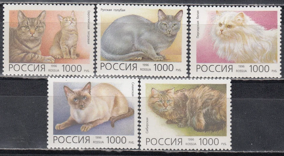 Россия - № 266-270. Фауна. Домашние кошки. 1996 год.