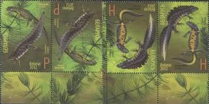 Беларусь - Тритоны(тет-беш, 2012).