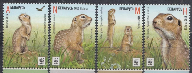 Беларусь - WWF Крапчатый суслик(2015).