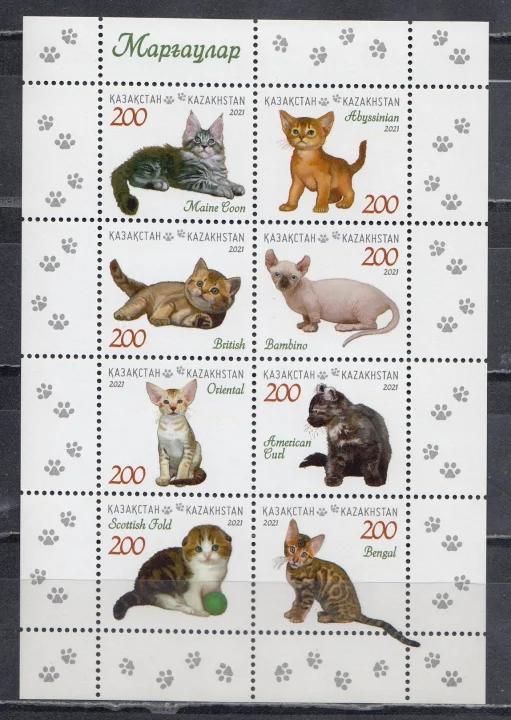 Казахстан - Котята(2021).