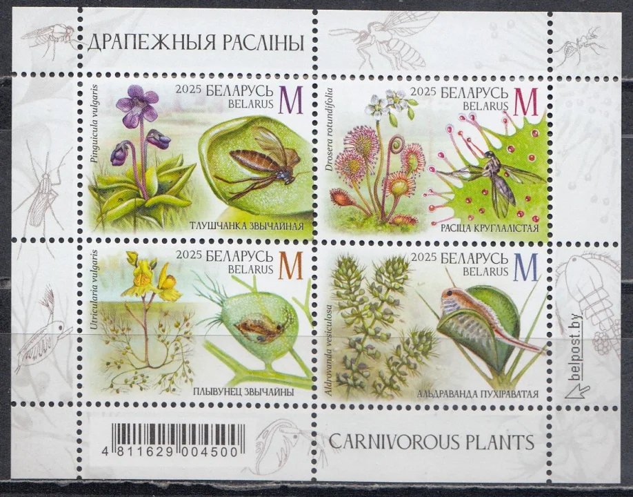 Беларусь - Хищные растения. Цветы. Блок(2025).
