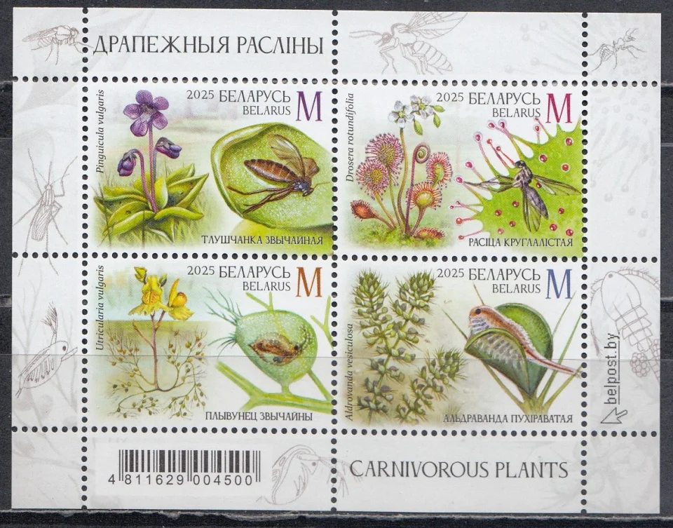Беларусь - Хищные растения. Цветы. Блок(2025).