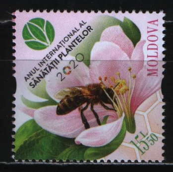 Молдова - Международный год охраны здоровья растений. Пчела(2020).
