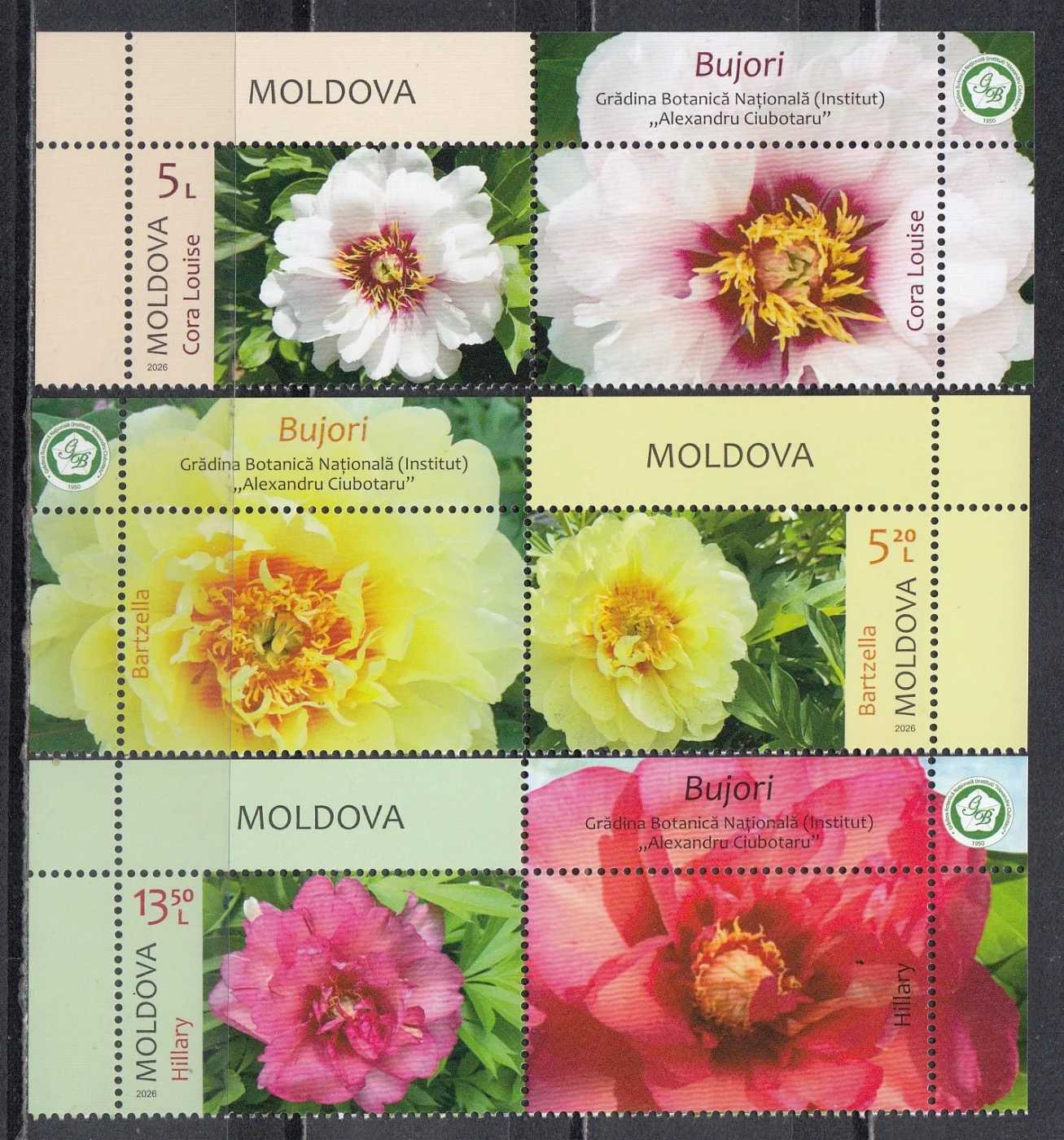 Молдова - Пионы. Купоны(2026).