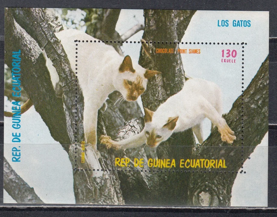 Экваториальная Гвинея - Сиамские кошки. Блок(1976).