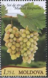 Молдова - Виноград(2013).