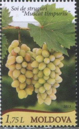 Молдова - Виноград(2013).