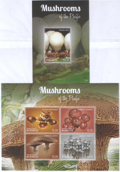 Микронезия - Грибы(2013, 2).
