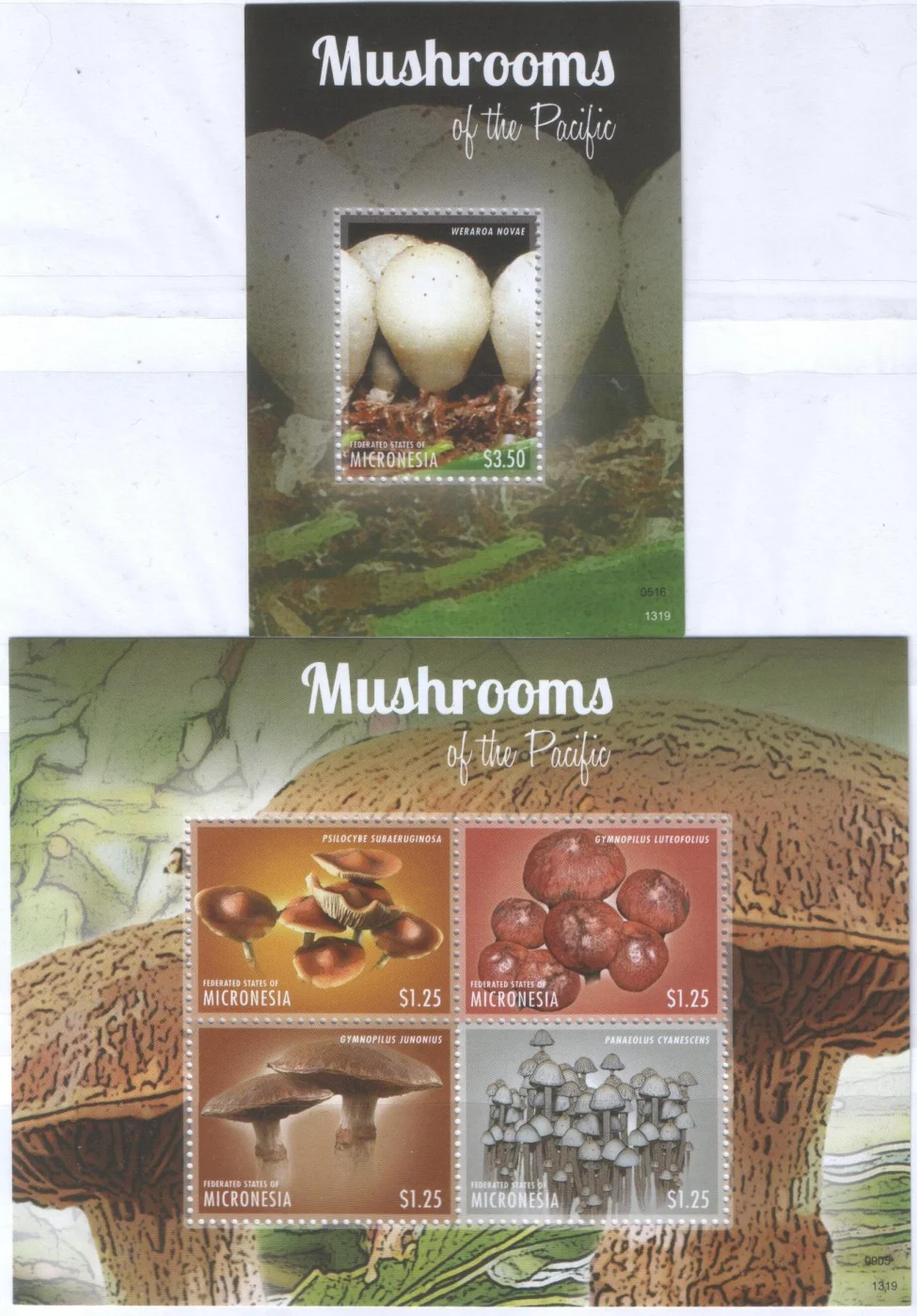 Микронезия - Грибы(2013, 2).
