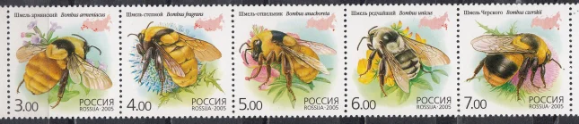 Россия - № 1034-1038. Фауна. Насекомые (шмели). Сцепка. 2005.