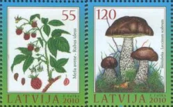 Латвия - Гриб и малина(2010).