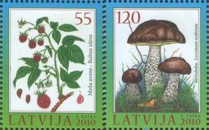 Латвия - Гриб и малина(2010).