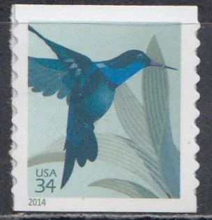 США - Колибри(2014).